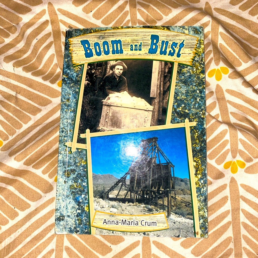 Boom & Bust book